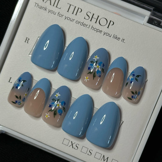 Myosotis